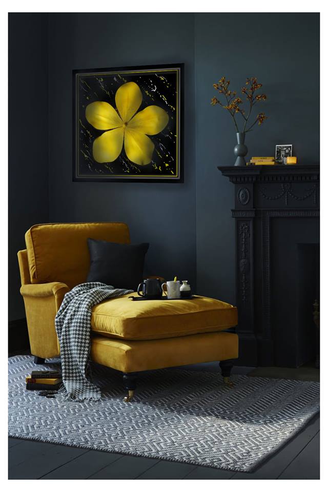 Бучацькі справи