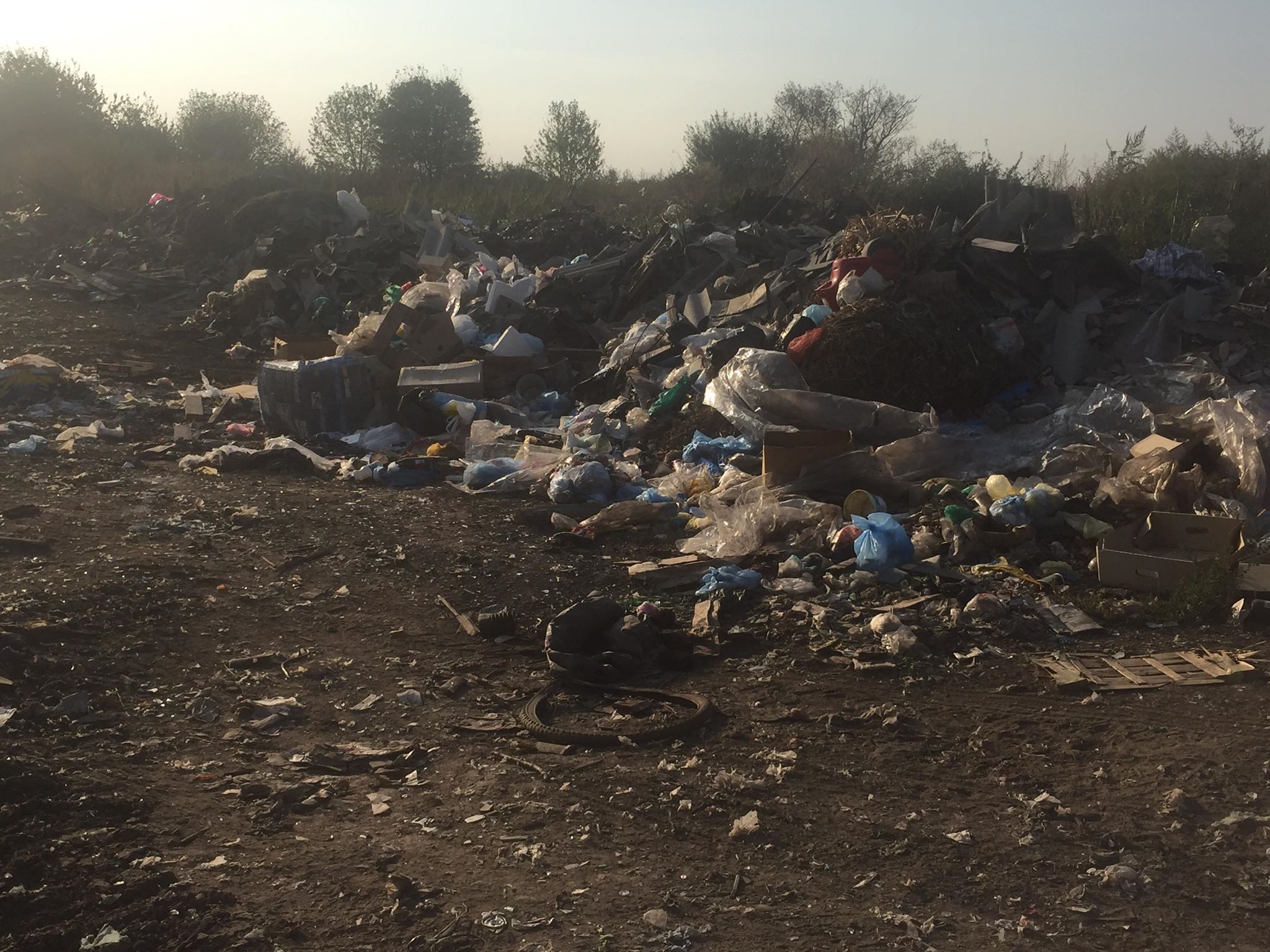 Бучацькі справи