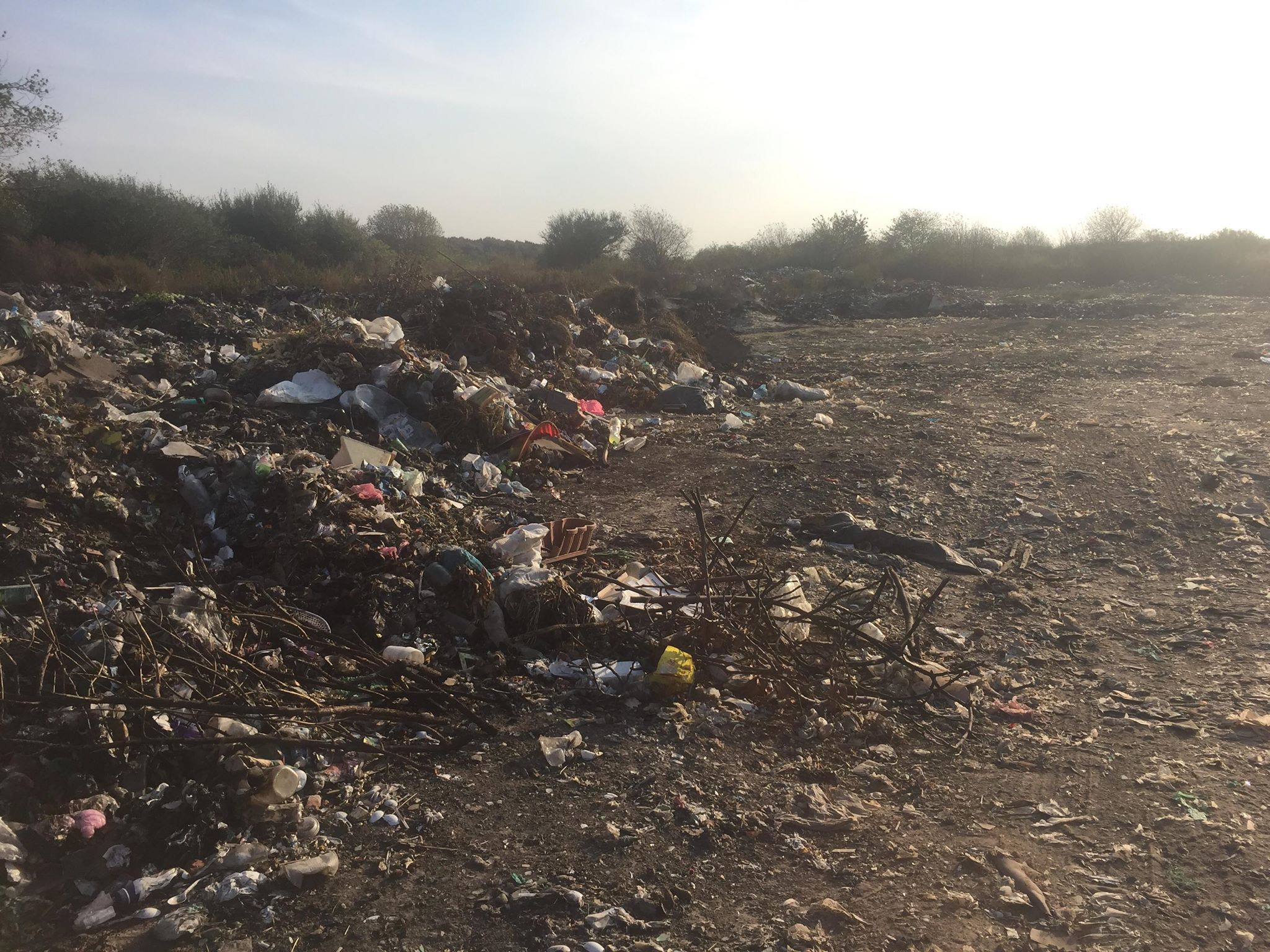 Бучацькі справи