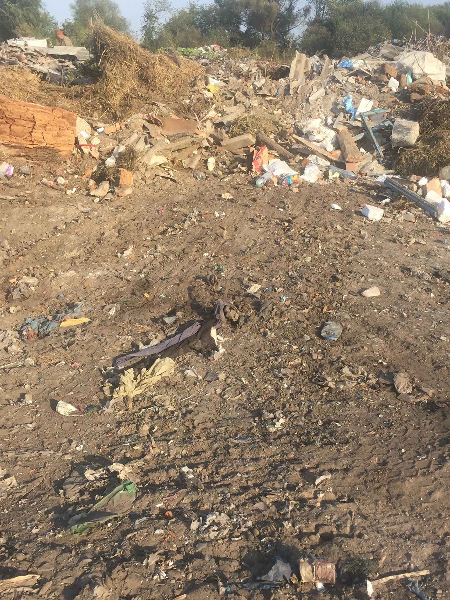 Бучацькі справи