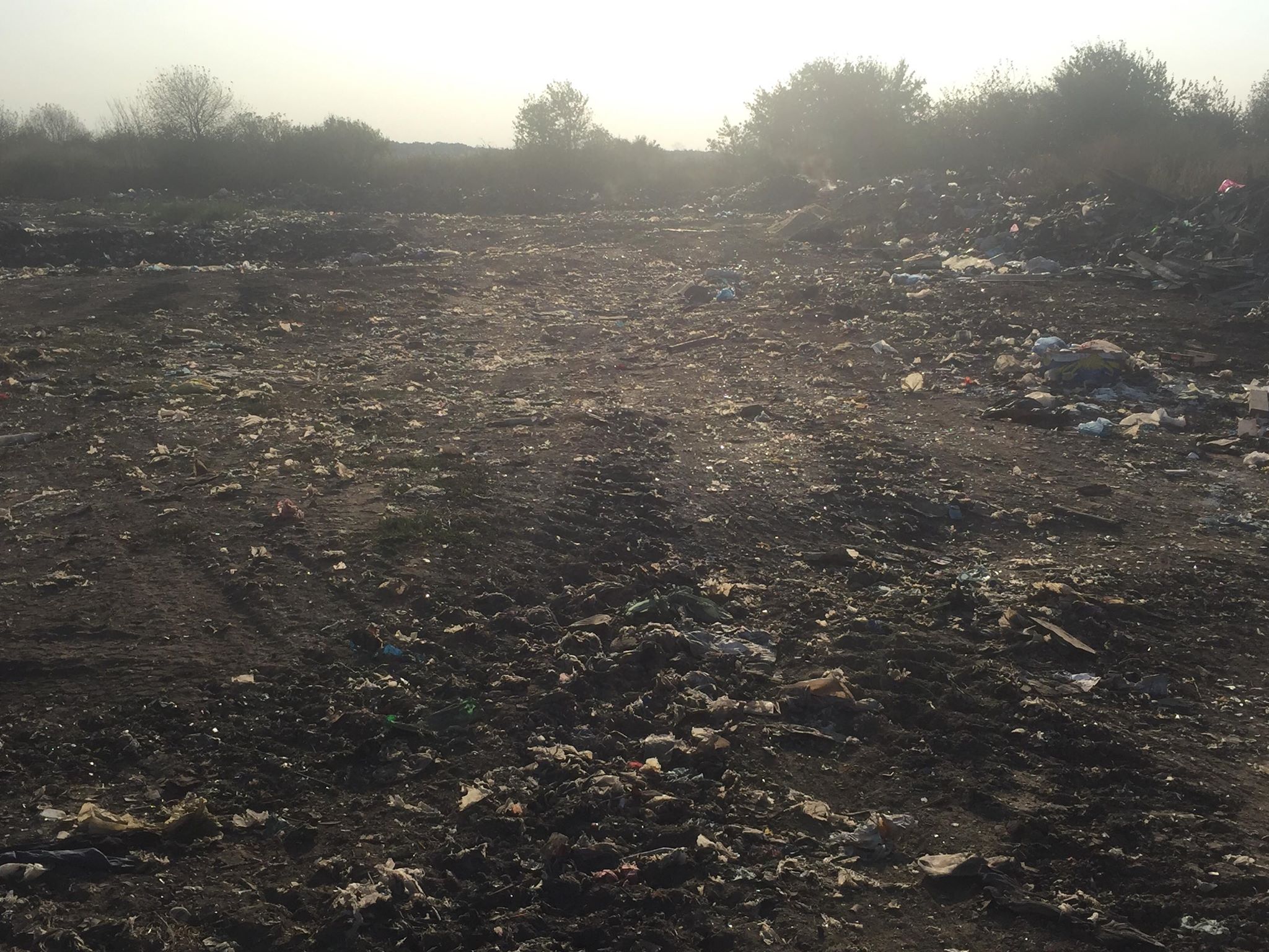 Бучацькі справи