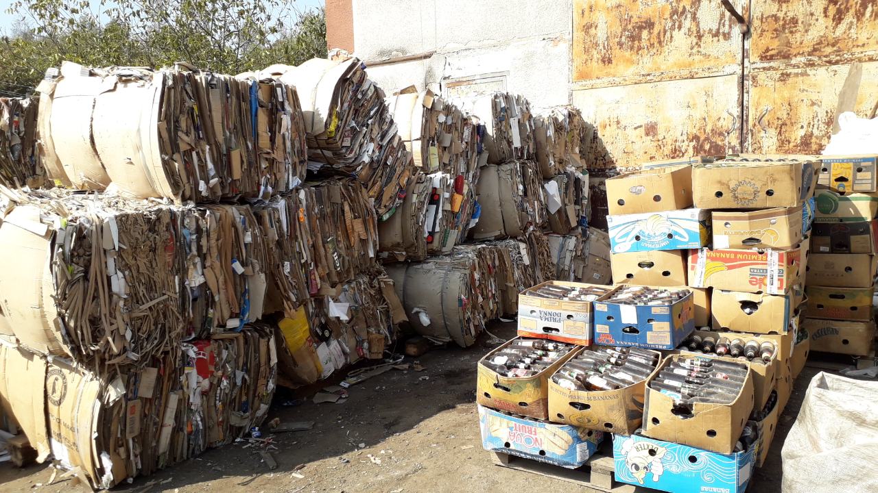 Бучацькі справи