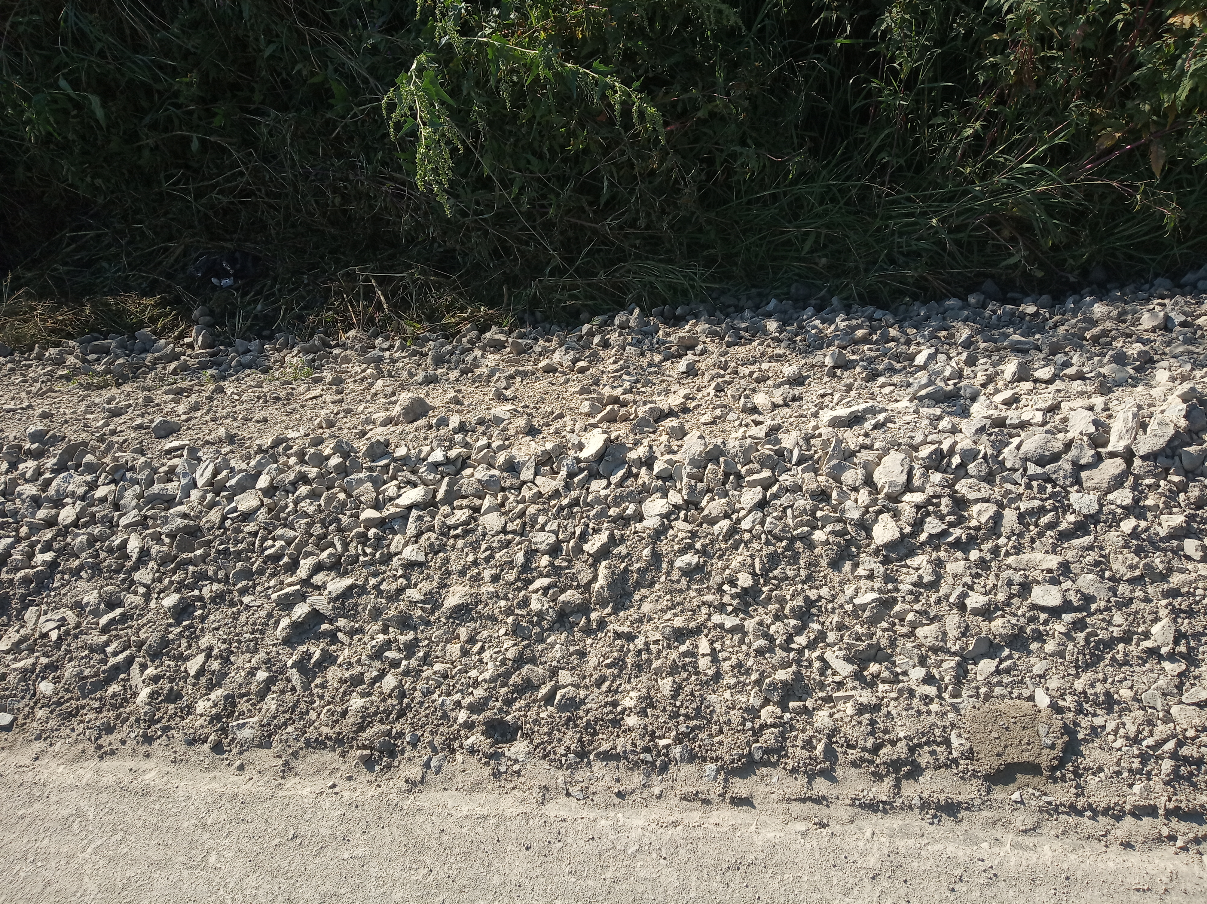 Бучацькі справи