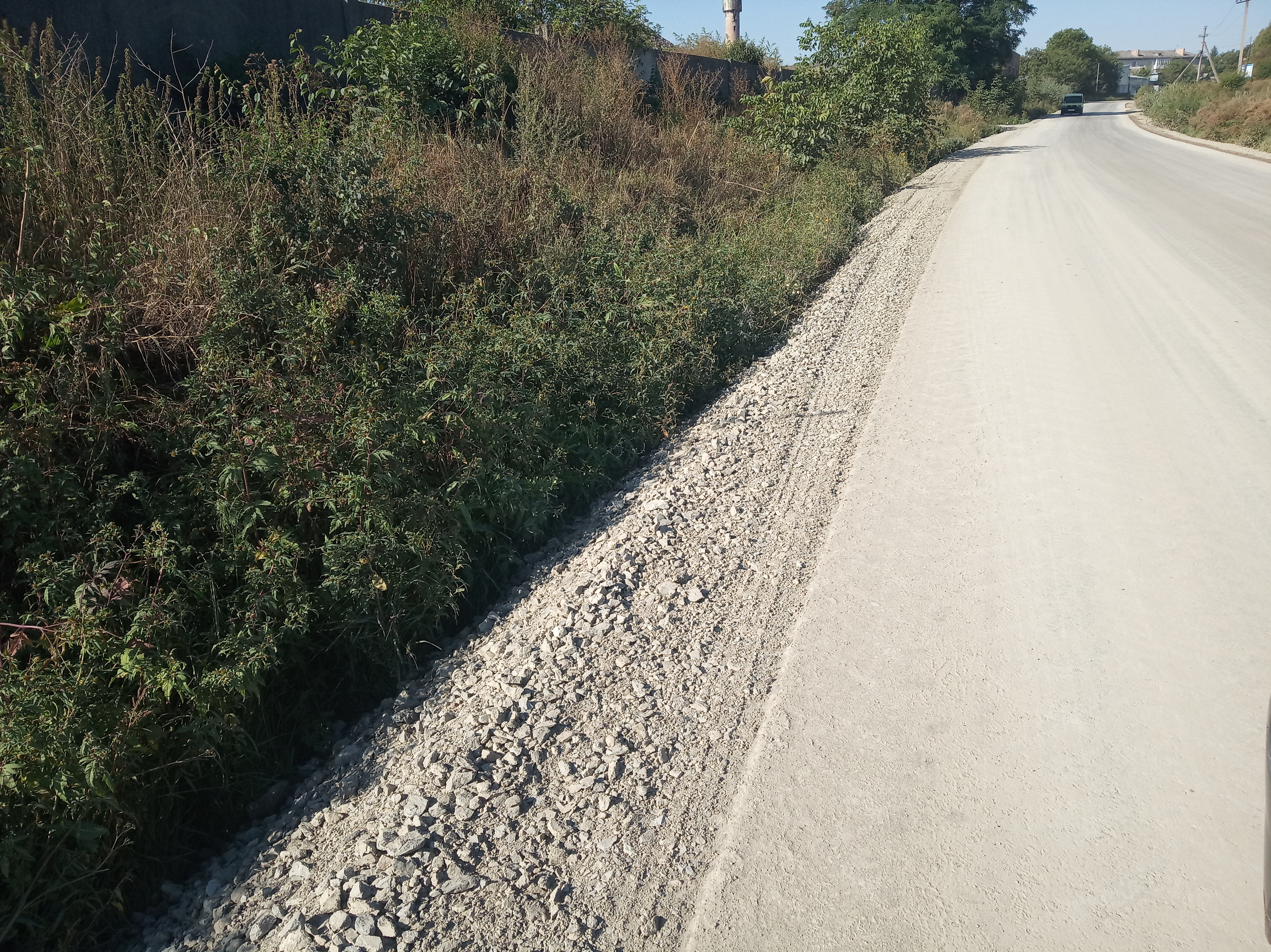 Бучацькі справи