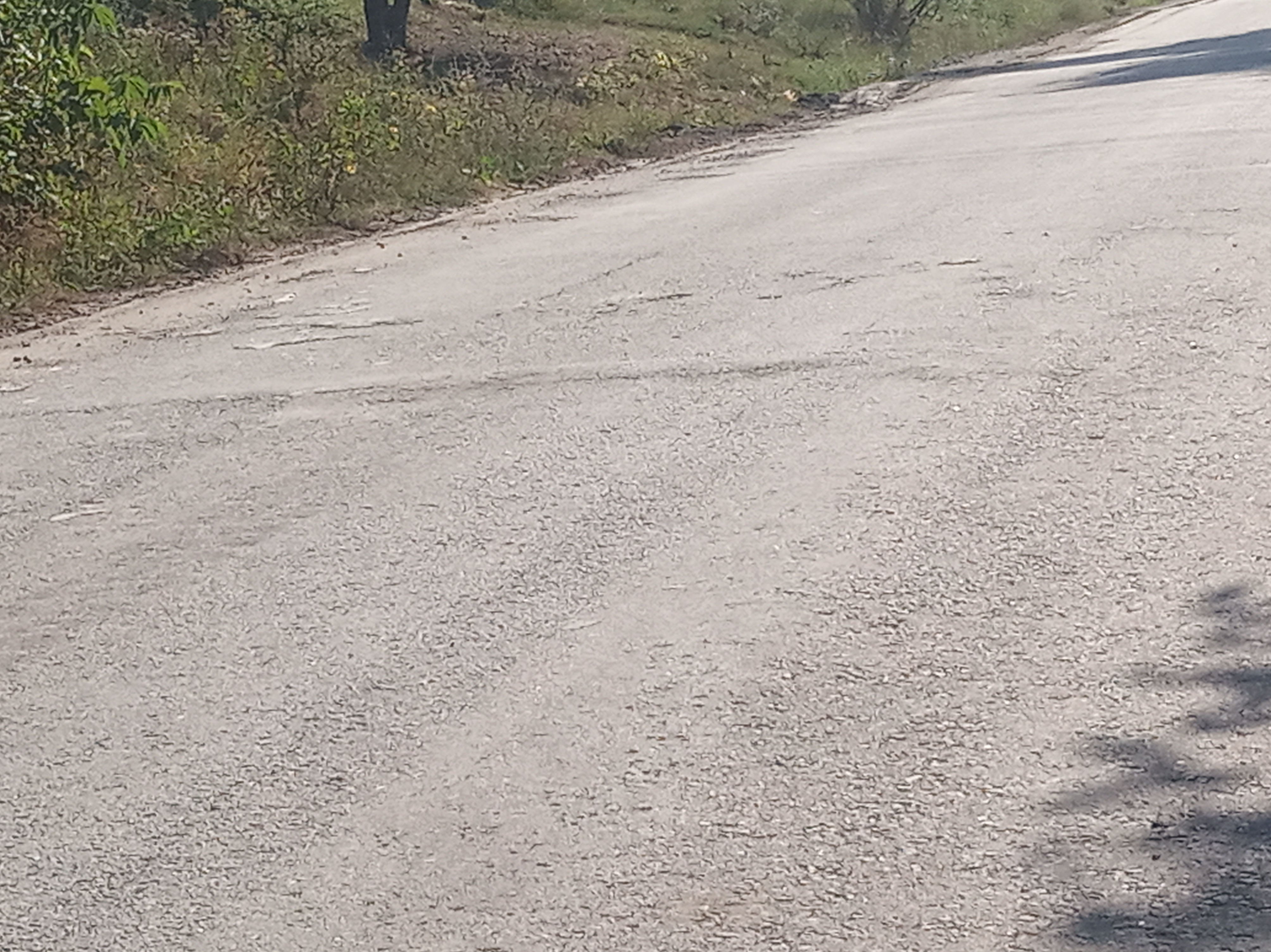 Бучацькі справи