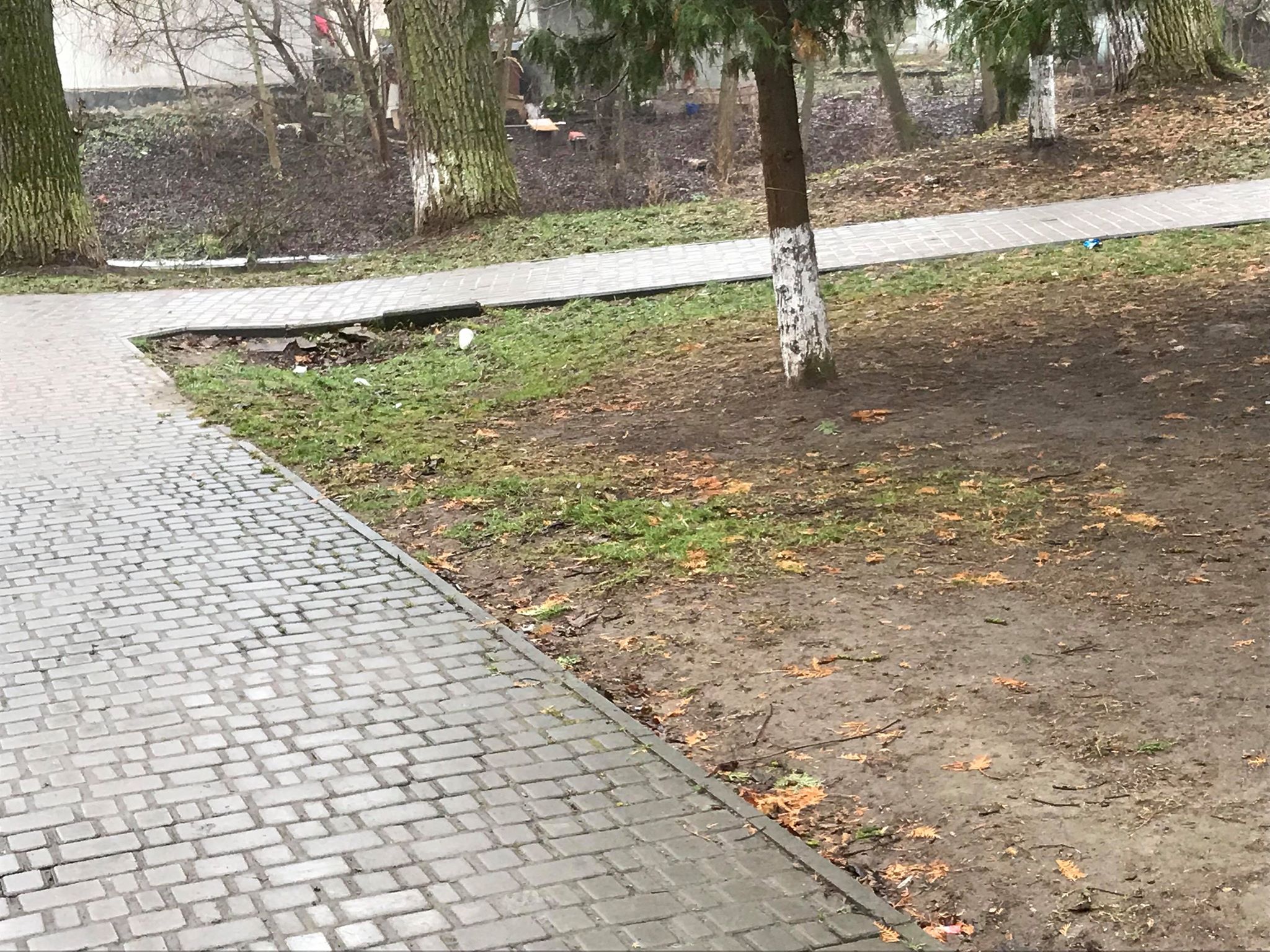 Бучацькі справи