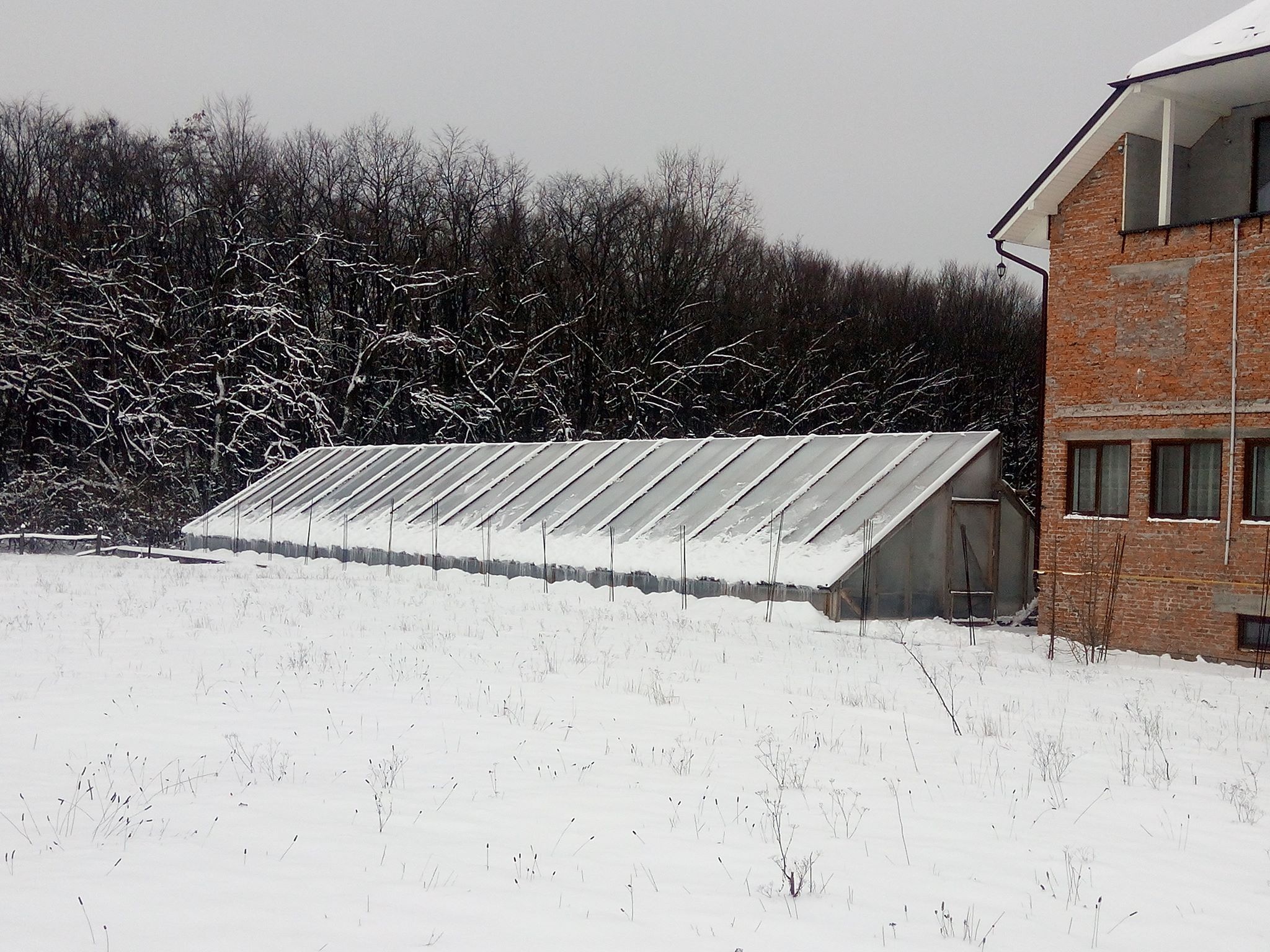 Бучацькі справи