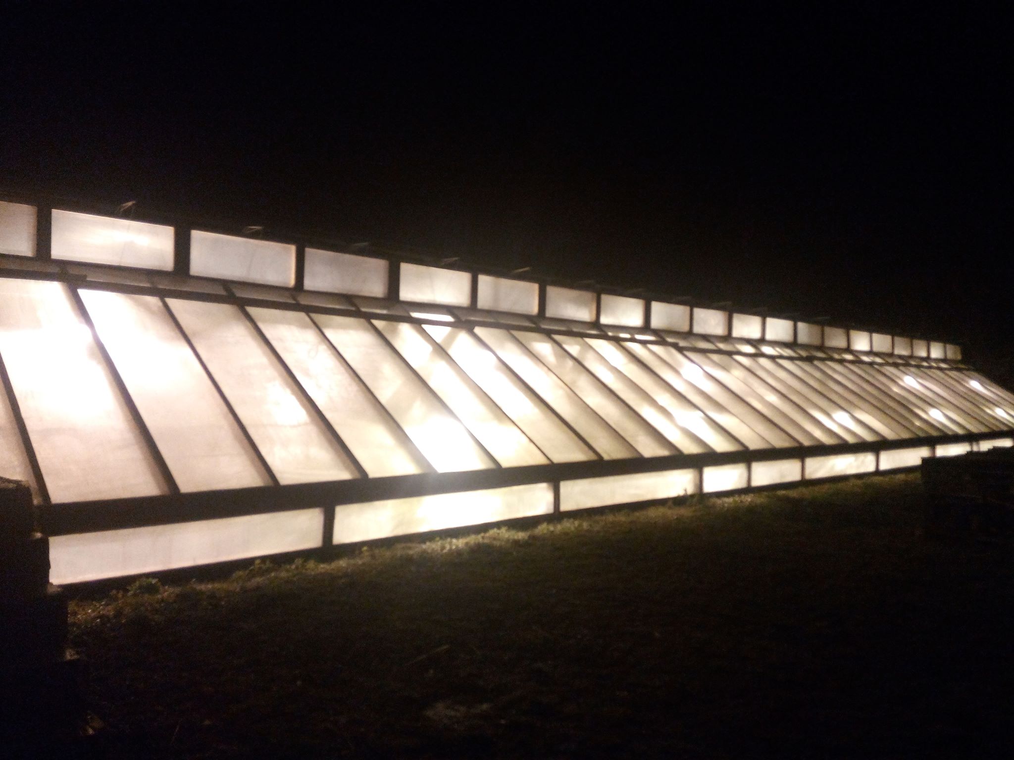 Бучацькі справи