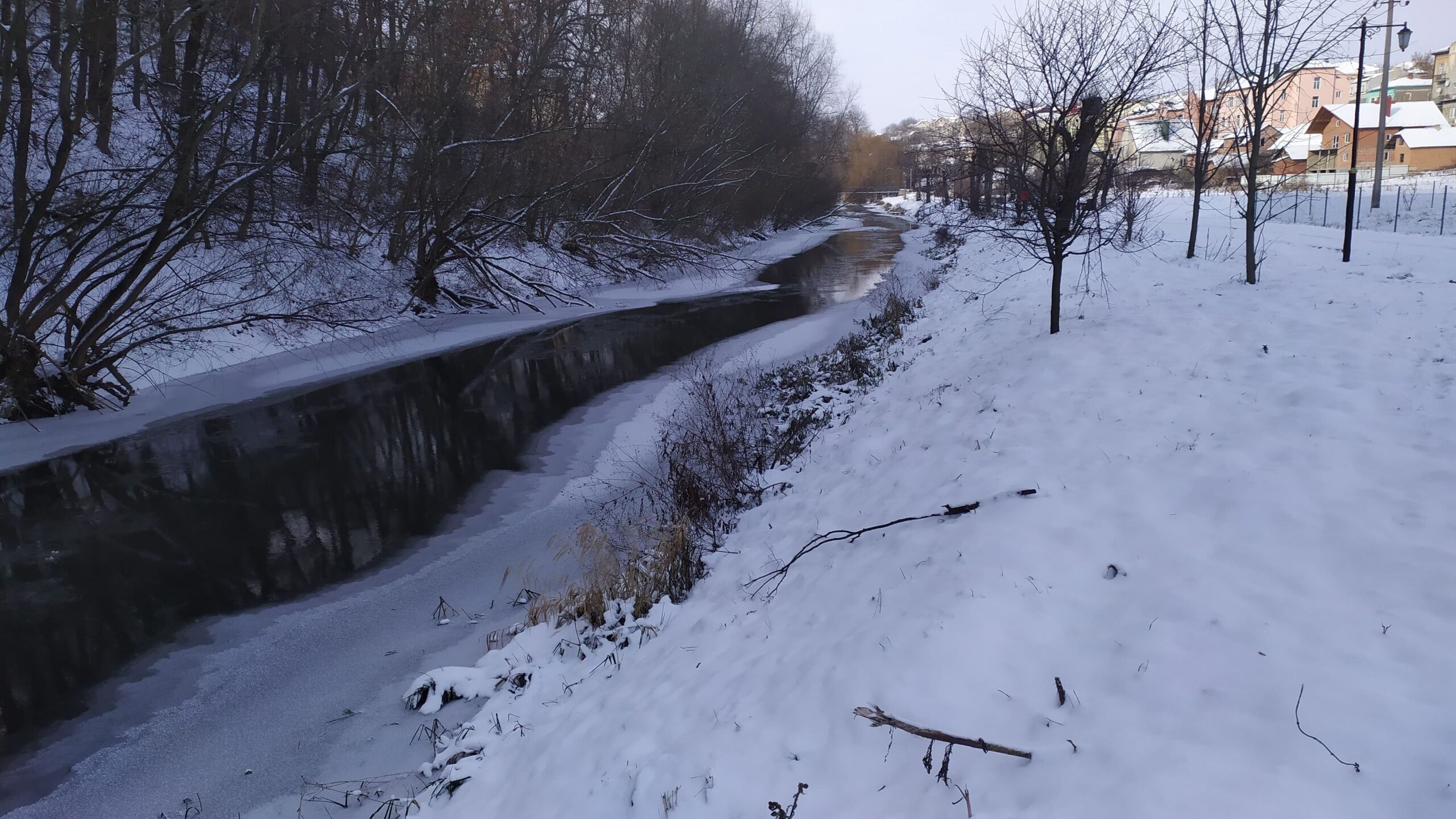 Бучач стрипа