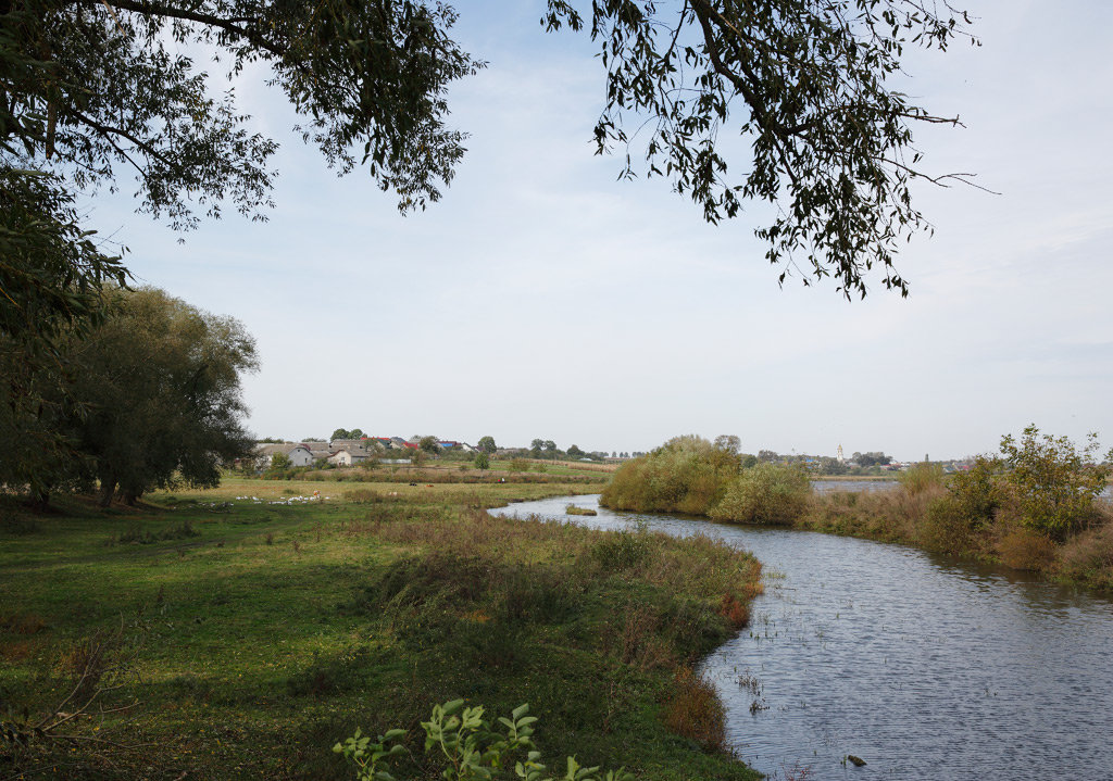 медведівці